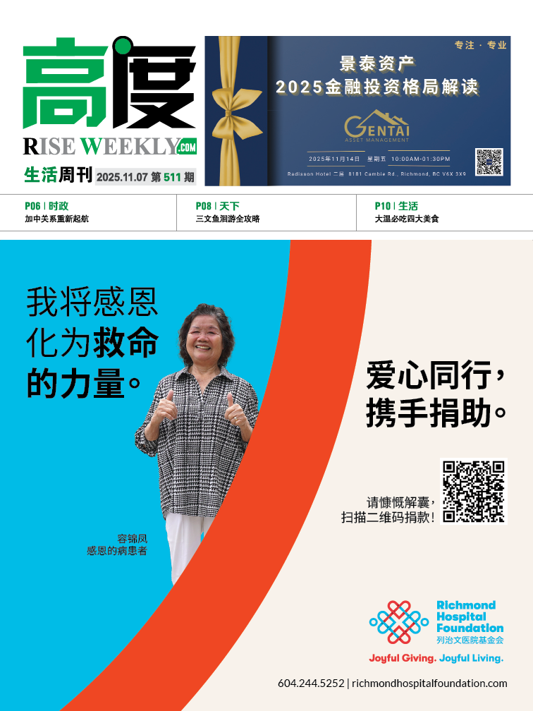 高度生活周刊 2025年11月12日 第508期