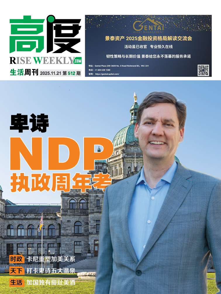 高度生活周刊 2025年11月21日 第512期