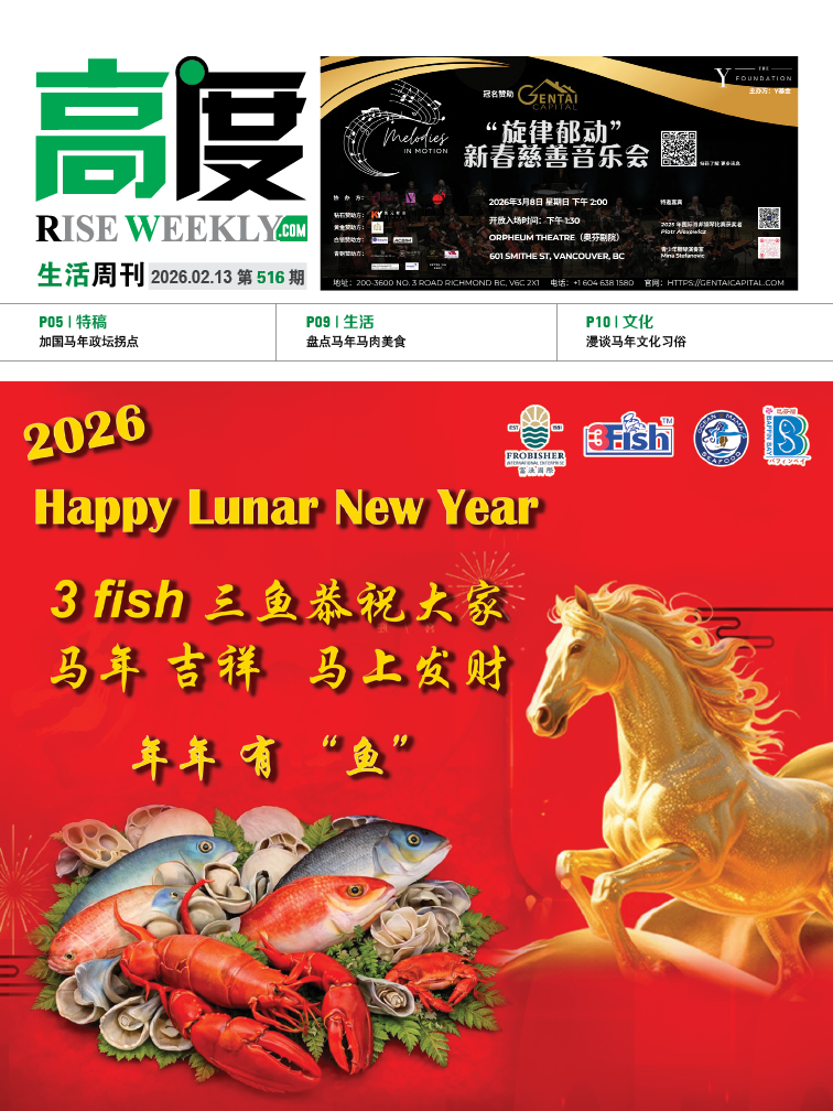 高度生活周刊 2026年02月13日 第516期